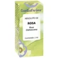 Esential Aroms Absolu de Rose Bulgare 2ml