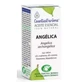 Esential Aroms Angelica Root Essential Oil 5Ml