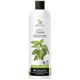 Armonia Nettle Anti-Grease Shampoo 250Ml