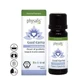 Physalis Good Karma Synergy Essential Oil 10Ml. Bio