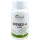Plantapol Boswellia 2000 30 Tablets