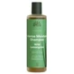 Urtekram Wild Lemongrass Shampooing pour cheveux secs 250M Eco Vegan