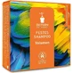 Bioturm Solid Volume Shampoo 100Gr