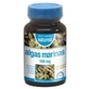 Dietmed Meeresalgen 500Mg. 90Komp