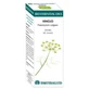 Equisalud Bio Essential Oils Fennel Essential Oil 10Ml