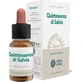 Forza Vitale Quinta Essence Salvia (Salie) 10Ml