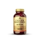Solgar Calcium/Magnesium mit Bor 250 Tabletten