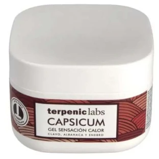 Terpenic Evopro Capsicum Gel Apaisant Action Réchauffante 500ml