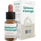 Forza Vitale Quinta Essence Savory (Santoreggia) 10Ml