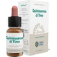 Forza Vitale Fünfte Essenz Thymian (Thymus) 10Ml