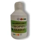 Alpha Herbal Chlorophyllum Herbal 500Ml