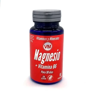 Ynsadiet Magneziu + Vit. B6 60Comp