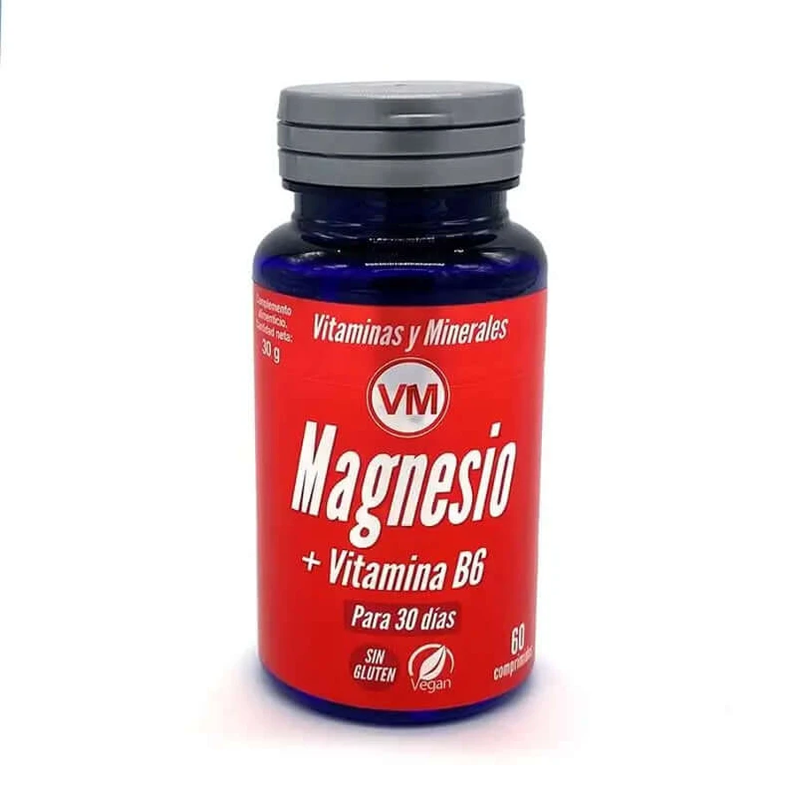 Ynsadiet Magneziu + Vit. B6 60Comp