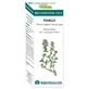 Equisalud Bio Essential Oils Thyme Essential Oil 10ml