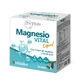 Zentrum Magnesio Vital Vloeibaar, 20 flacons