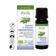 Physalis Rosemary Verbenon Essential Oil 10Ml. Bio