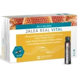 Fdb Jelly Balance Vital Jalea Real 20Viales