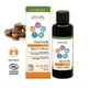 Physalis Ayurveda Holistic Balance Massage Oil 100Ml. Bio