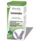 Physalis Lavandin Essence 10Ml. Bio
