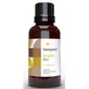 Terpenic Ingwer Ätherisches Öl Bio 30Ml