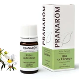 Pranarom Aceite Esencial Jara cv Córcega, 5ml