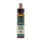 Artesania Sweet Chestnut Plantis Bach Flowers No. 30 10Ml
