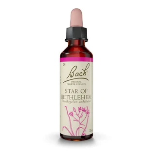 Artesania Star Of Bethlehem Bachblüten Plantis 29 10Ml