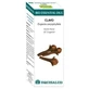 Equisalud Bio Essential Oils Clove Essential Oil 10Ml