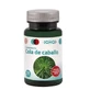 Sakai Horsetail 100 Tablets