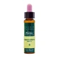 Artesania Cerato Plantis Bach Flowers No. 05 10Ml