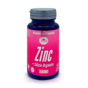 Ynsadiet Zink + Organisches Silizium , 60 Kapseln