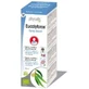 Physalis Eucalyforce Mouth Spray 30Ml. Bio
