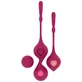 Rithual Orchid Pelvic Training