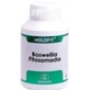 Equisalud Holofit Boswellia Fitosomada 180 Capsules
