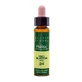 Artesania Pine Plantis Fleurs de Bach No. 24 10Ml