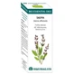 Equisalud Bio Essential Oils Sage Essential Oil 10Ml