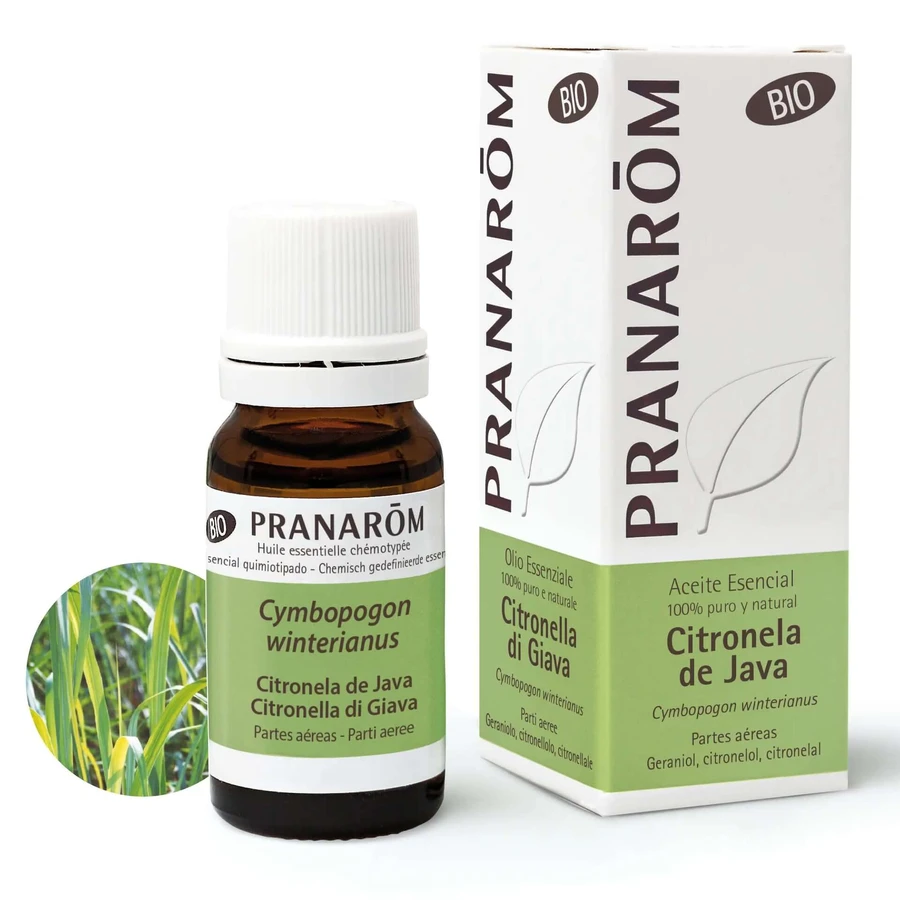 Pranarom Ätherisches Öl Citronella Java Bio, 10ml