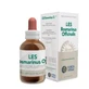 Forza Vitale Les Rosmarinus Officinalis Rosemary 50ml