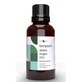 Terpenic Black Fir Essential Oil 30Ml. Bio