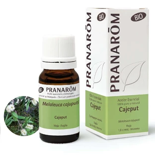 Pranarom Cajeput Ätherisches Öl Bio, 10ml