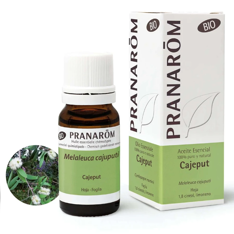 Pranarom Cajeput Ätherisches Öl Bio, 10ml