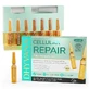 Dhyvana Celular Repair (Intense Overnight Repair) 7Amp