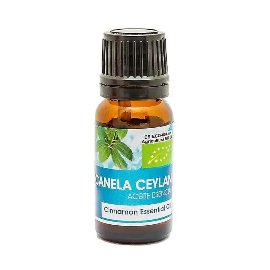 Natura Premium Huile Essentielle Cannelle de Ceylan Bio , 10 ml