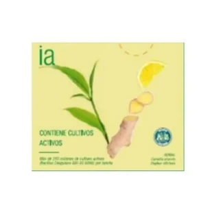 Interapothek Infusions de thé vert et de gingembre, 20 unités