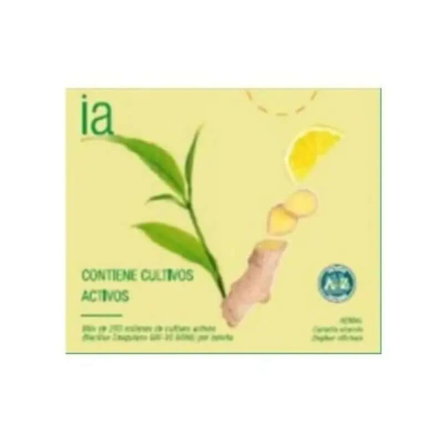 Interapothek Infusions de thé vert et de gingembre, 20 unités