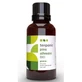 Terpenic Scots Pine Essential Oil Bio 30Ml