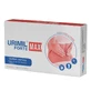 Urimil Forte Max, 30 Kapseln, Naturpharma