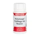 Equisalud Holomega Cartilage de Requin 50 Capsules