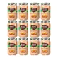 Nutriben Potito Ecopotito Mazedonien , 12 x 235 Gramm