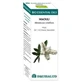 Equisalud Bio Essential Oils Niaouli Essential Oil 10Ml